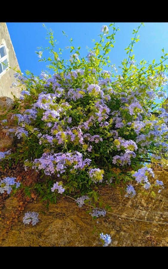 City Walls Sea View Corfu  Esterno foto